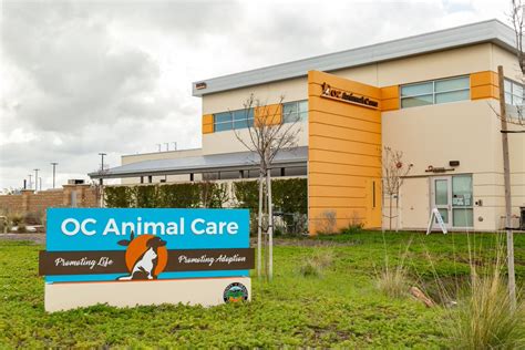 Oc animal care orange - OC Animal Care is the largest municipal animal shelter in Orange County, located at 1630 Victory Rd. Tustin, CA 92782. It services 14 cities and takes in over 14,500 animals each year. OC Animal Care provides refuge and care for animals, fosters the human-animal bond, and promotes safety in our community. For more information about …